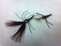 olive cray.jpg