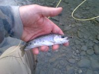 IMG-20120601-00010.jpg