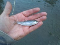 IMG-20120601-00012.jpg