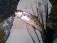 IMG-20120603-00021.jpg