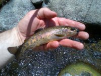 IMG-20120603-00023.jpg
