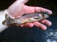 IMG-20120603-00026.jpg