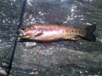 IMG-20120603-00027.jpg