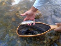 IMG-20120604-00033.jpg