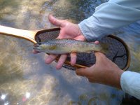 IMG-20120604-00034.jpg
