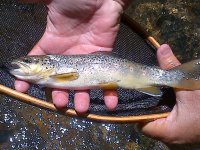 IMG-20120604-00035.jpg