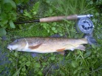 0606122020.jpg