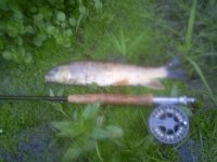 0606122029.jpg