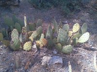 IMG-20120606-00036.jpg