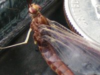 DSCF2005.JPG