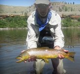 Huge Brown.jpg