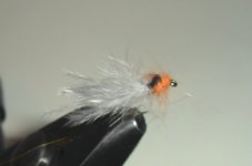 White Fly.jpg