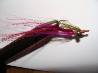 81812clouser.JPG