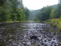 8-20-2012 2012-08-20 021.jpg