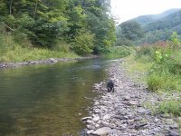 8-20-2012 2012-08-20 025.jpg
