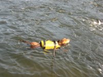RiverRat 2.jpg