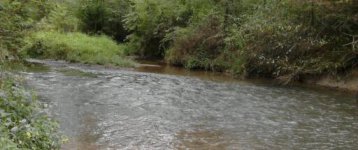 IMG_20120906_123338-1.jpg