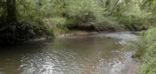 IMG_20120906_123323-1.jpg