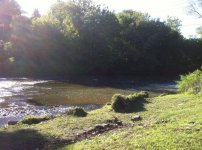 fly fish 1.jpg