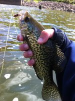 fly fish 2.jpg