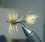 MACINTOSH_ATLANTIC_SALMON_DRY_SM.jpg