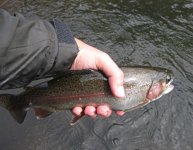 IMG_063994.jpg