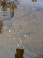 IMG_0278.JPG