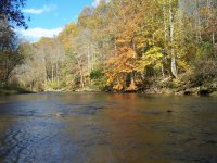 muddyfall202a.jpg