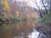 muddyfall202e.jpg
