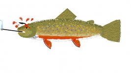 Brook Trout big hook.jpg