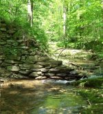 100_0034 - Copy.JPG