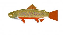 Brook Trout.jpg