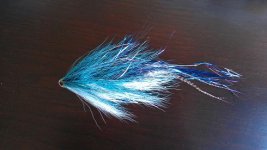 blue fly.jpg