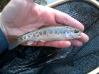 IMG-20130203-00068.jpg