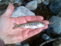 IMG-20130203-00069.jpg