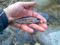 IMG-20130203-00072.jpg
