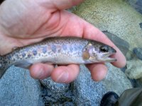 IMG-20130203-00074.jpg
