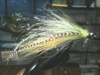 Muskie Fly 4.jpg