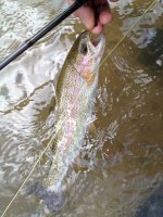 FFO201302271.jpg