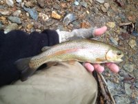 FFO201302272.jpg