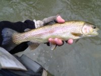 FFO201302273.jpg