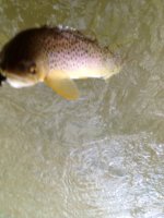 FFO201302274.jpg