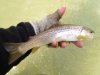 FFO201302275.jpg