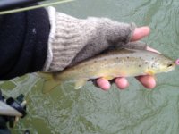 FFO201302277.jpg