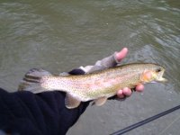FFO201302279.jpg