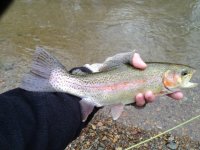 FFO2013022710.jpg