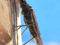 DSCF4318.JPG