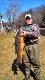 MASSIVE carp.jpg