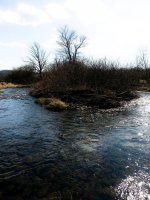 20130330_154210.jpg