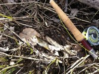 20130330_160413.jpg